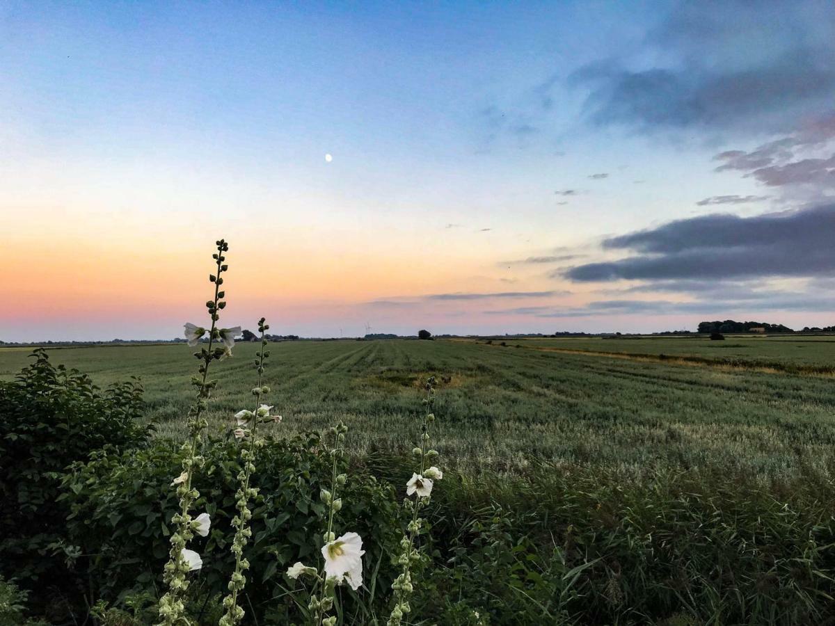 Gartenhaus Frieda Galmsbull Exteriör bild