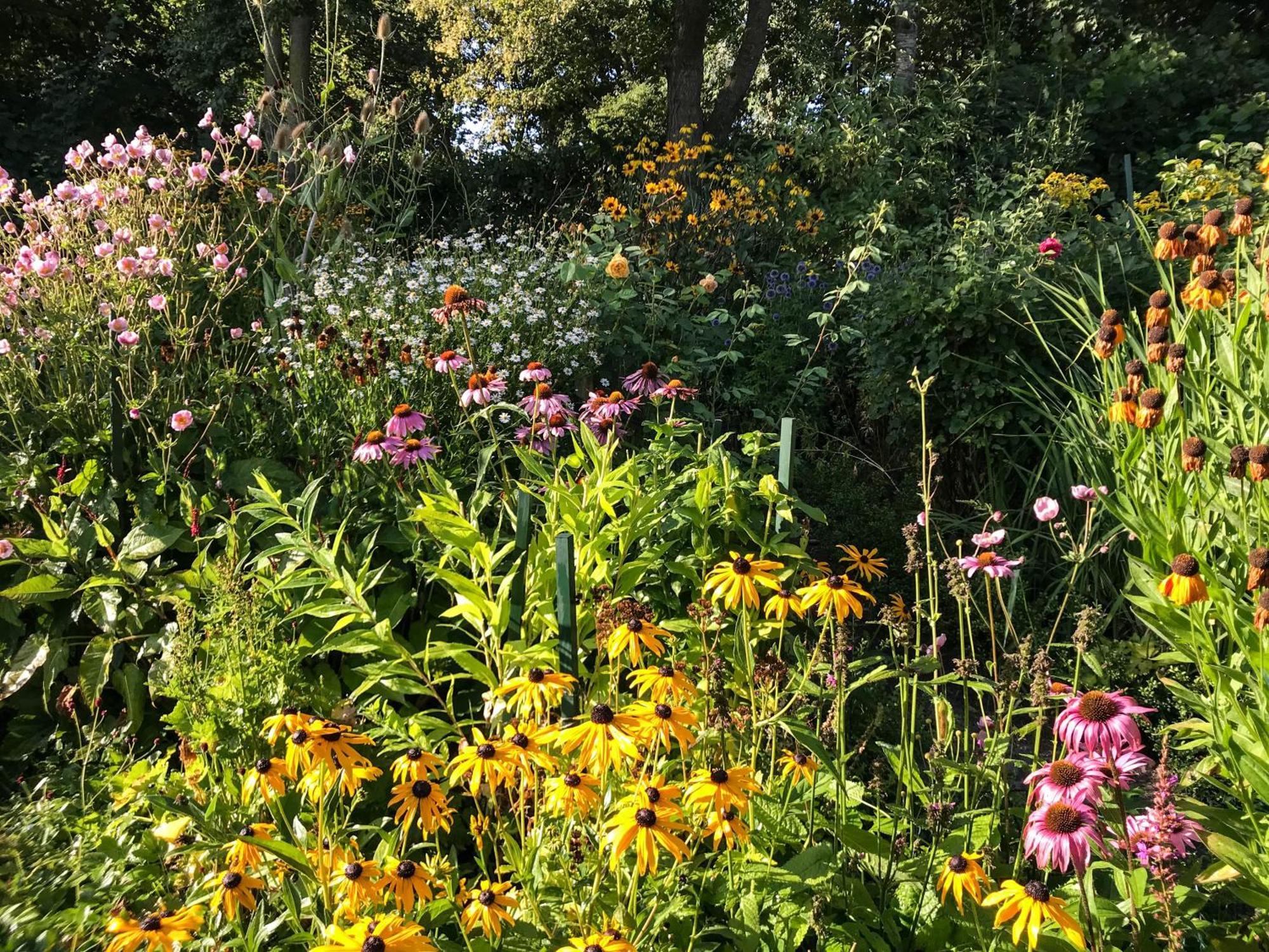 Gartenhaus Frieda Galmsbull Exteriör bild
