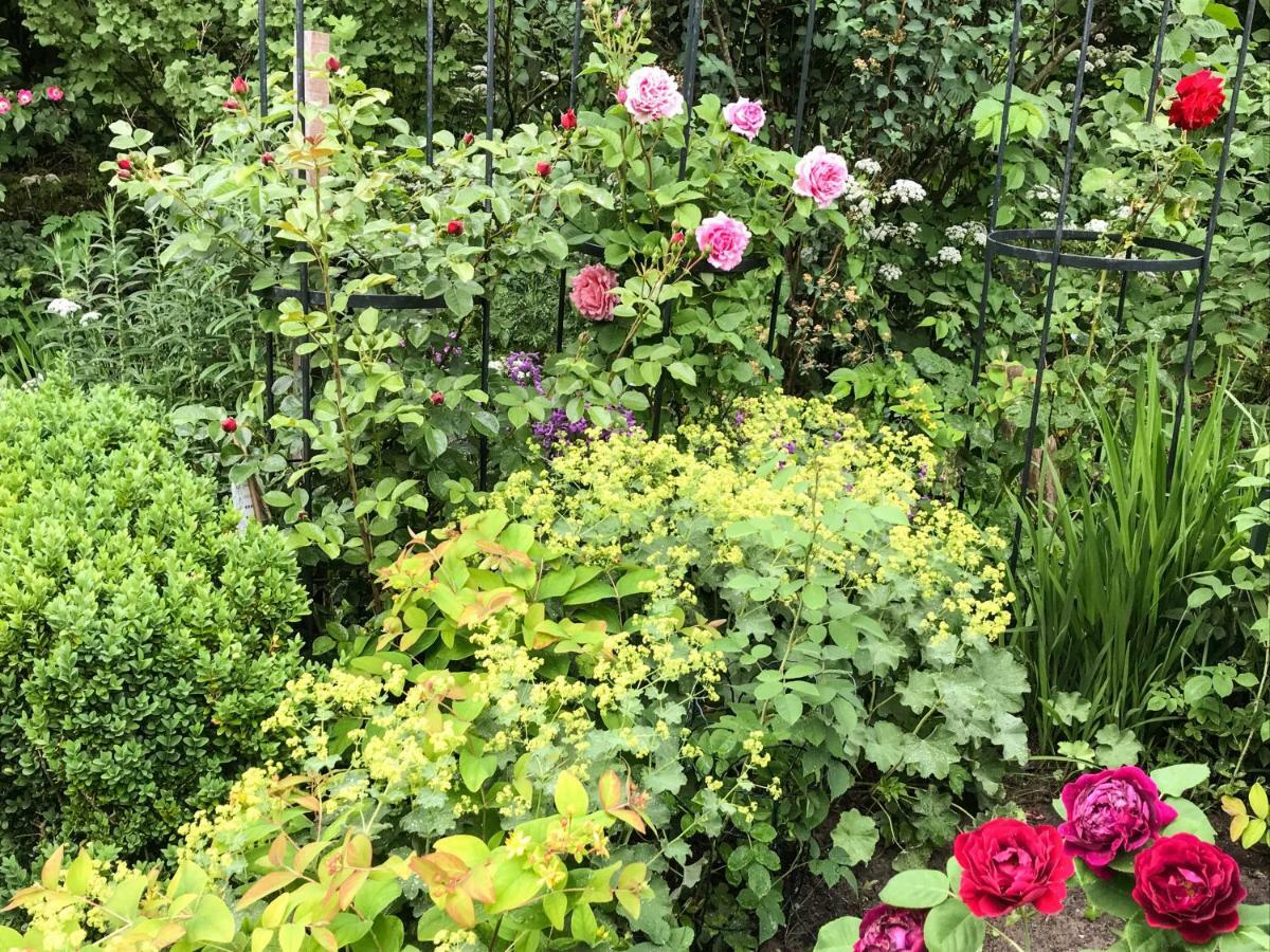 Gartenhaus Frieda Galmsbull Exteriör bild